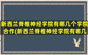 新西兰脊椎神经学院有哪几个学院合作(新西兰脊椎神经学院有哪几个学院)