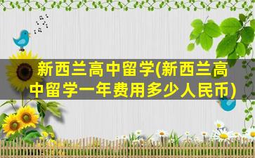 新西兰高中留学(新西兰高中留学一年费用多少人民币)