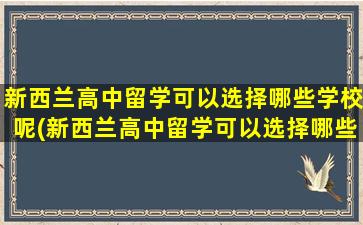 新西兰高中留学可以选择哪些学校呢(新西兰高中留学可以选择哪些学校呢英语)