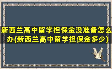 新西兰高中留学担保金没准备怎么办(新西兰高中留学担保金多少)