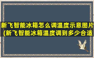 新飞智能冰箱怎么调温度示意图片(新飞智能冰箱温度调到多少合适)