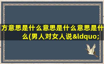 方意思是什么意思是什么意思是什么(男人对女人说“不忘初心,方得始终是什么意思)