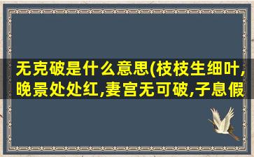 无克破是什么意思(枝枝生细叶,晚景处处红,妻宫无可破,子息假送终是什么意思)