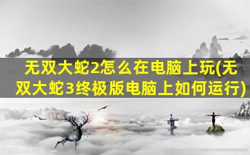 无双大蛇2怎么在电脑上玩(无双大蛇3终极版电脑上如何运行)