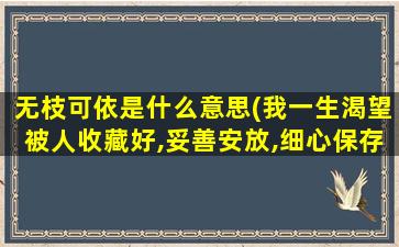 无枝可依是什么意思(我一生渴望被人收藏好,妥善安放,细心保存.免我惊,免我苦,免我四下流离,免我无枝可依.什么意思)