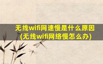 无线wifi网速慢是什么原因(无线wifi网络慢怎么办)