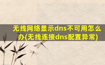 无线网络显示dns不可用怎么办(无线连接dns配置异常)