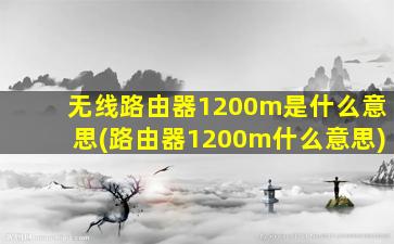 无线路由器1200m是什么意思(路由器1200m什么意思)