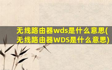 无线路由器wds是什么意思(无线路由器WDS是什么意思)