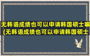 无韩语成绩也可以申请韩国硕士嘛(无韩语成绩也可以申请韩国硕士吗知乎)