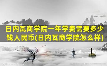 日内瓦商学院一年学费需要多少钱人民币(日内瓦商学院怎么样)