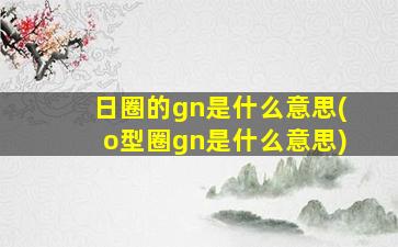 日圈的gn是什么意思(o型圈gn是什么意思)