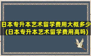 日本专升本艺术留学费用大概多少(日本专升本艺术留学费用高吗)