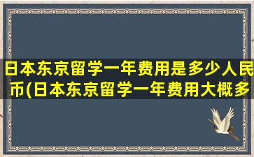 日本东京留学一年费用是多少人民币(日本东京留学一年费用大概多少)