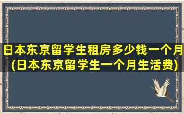 日本东京留学生租房多少钱一个月(日本东京留学生一个月生活费)