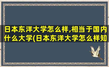 日本东洋大学怎么样,相当于国内什么大学(日本东洋大学怎么样知乎)