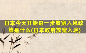 日本今天开始进一步放宽入境政策是什么(日本政府放宽入境)