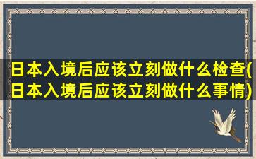 日本入境后应该立刻做什么检查(日本入境后应该立刻做什么事情)