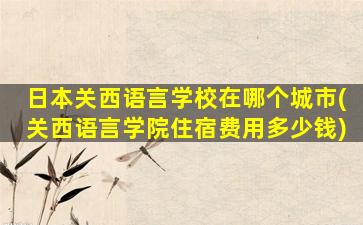 日本关西语言学校在哪个城市(关西语言学院住宿费用多少钱)