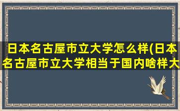 日本名古屋市立大学怎么样(日本名古屋市立大学相当于国内啥样大学)