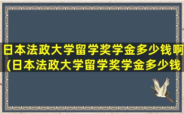 日本法政大学留学奖学金多少钱啊(日本法政大学留学奖学金多少钱一个月)