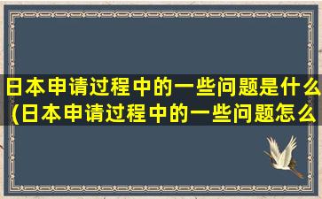 日本申请过程中的一些问题是什么(日本申请过程中的一些问题怎么解决)