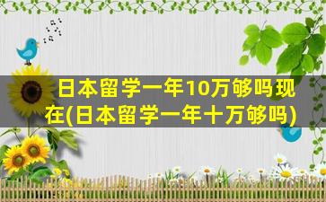 日本留学一年10万够吗现在(日本留学一年十万够吗)