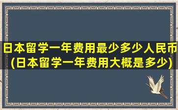 日本留学一年费用最少多少人民币(日本留学一年费用大概是多少)