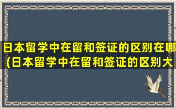 日本留学中在留和签证的区别在哪(日本留学中在留和签证的区别大吗)