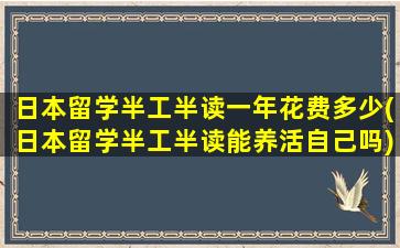 日本留学半工半读一年花费多少(日本留学半工半读能养活自己吗)