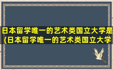 日本留学唯一的艺术类国立大学是(日本留学唯一的艺术类国立大学是哪个)