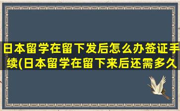 日本留学在留下发后怎么办签证手续(日本留学在留下来后还需多久下签证)