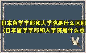 日本留学学部和大学院是什么区别(日本留学学部和大学院是什么意思区别)