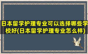 日本留学护理专业可以选择哪些学校好(日本留学护理专业怎么样)