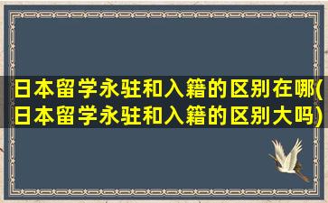 日本留学永驻和入籍的区别在哪(日本留学永驻和入籍的区别大吗)