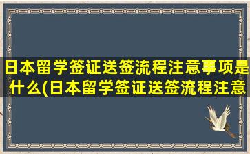 日本留学签证送签流程注意事项是什么(日本留学签证送签流程注意事项)