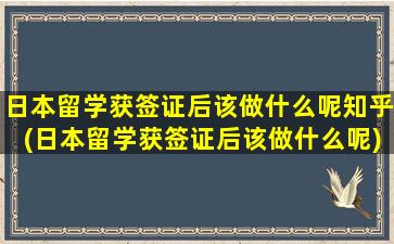 日本留学获签证后该做什么呢知乎(日本留学获签证后该做什么呢)