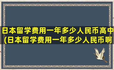 日本留学费用一年多少人民币高中(日本留学费用一年多少人民币啊)