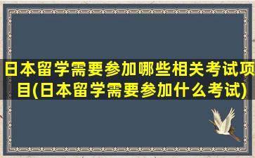 日本留学需要参加哪些相关考试项目(日本留学需要参加什么考试)