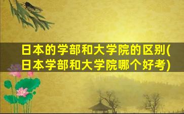 日本的学部和大学院的区别(日本学部和大学院哪个好考)