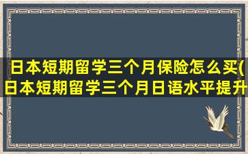 日本短期留学三个月保险怎么买(日本短期留学三个月日语水平提升了吗)