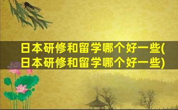 日本研修和留学哪个好一些(日本研修和留学哪个好一些)