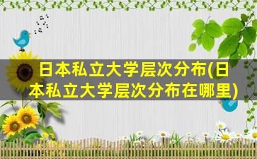 日本私立大学层次分布(日本私立大学层次分布在哪里)