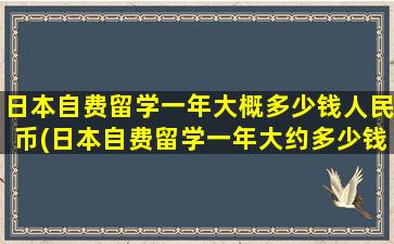 日本自费留学一年大概多少钱人民币(日本自费留学一年大约多少钱)