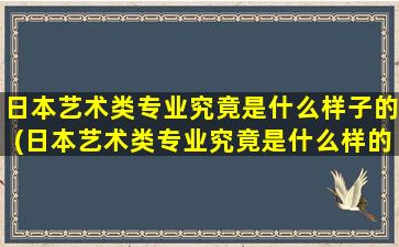 日本艺术类专业究竟是什么样子的(日本艺术类专业究竟是什么样的学校)