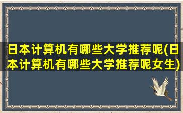 日本计算机有哪些大学推荐呢(日本计算机有哪些大学推荐呢女生)