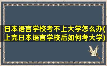 日本语言学校考不上大学怎么办(上完日本语言学校后如何考大学)