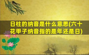 日柱的纳音是什么意思(六十花甲子纳音指的是年还是日)