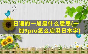 日语的一加是什么意思(一加9pro怎么启用日本字)