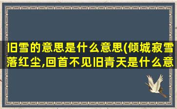 旧雪的意思是什么意思(倾城寂雪落红尘,回首不见旧青天是什么意思)